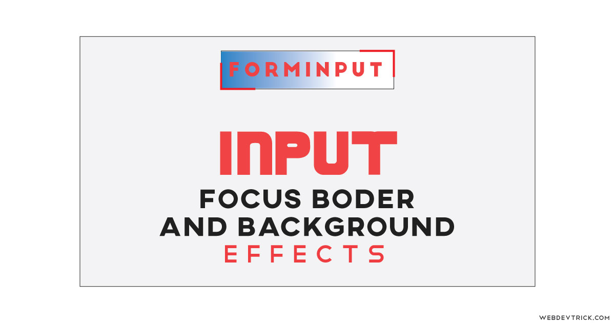 CSS Input Focus & Placeholder Effects | Custom Input Animations